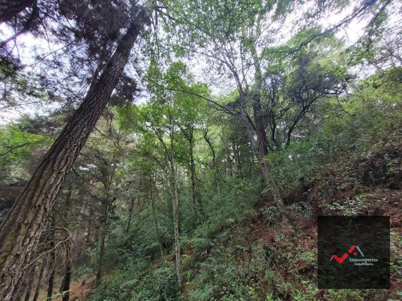 TERRENO EN VENTA SAN LUCAS, SACATEPEQUEZ  — Terreno en Venta en San Lucas Sacatepéquez, Sacatepéquez — foto 10 de 12