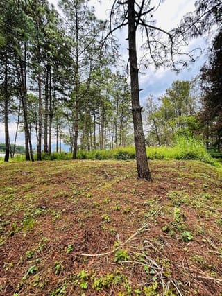 TERRENO EN VENTA EN HACIENDA LAS LLANURAS SUMPANGO — Terreno en Venta en Sumpango, Sacatepéquez — miniatura 11 de 12