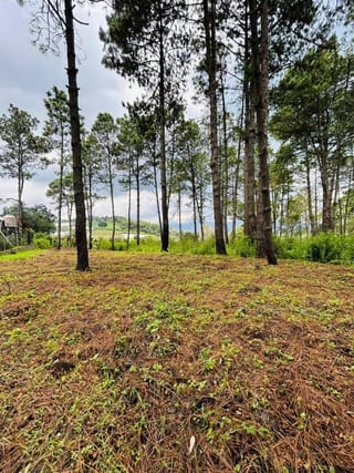 TERRENO EN VENTA EN HACIENDA LAS LLANURAS SUMPANGO — Terreno en Venta en Sumpango, Sacatepéquez — miniatura 10 de 12