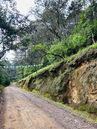 TERRENO EN VENTA EN HACIENDA LAS LLANURAS SUMPANGO — Terreno en Venta en Sumpango, Sacatepéquez — miniatura 2 de 12