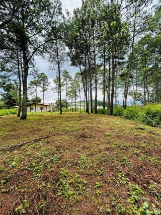 TERRENO EN VENTA EN HACIENDA LAS LLANURAS SUMPANGO — Terreno en Venta en Sumpango, Sacatepéquez — miniatura 8 de 12