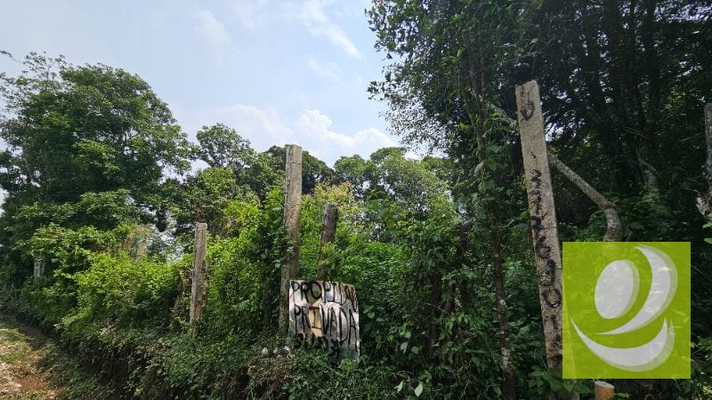 TERRENO DE 2 MANZANAS EN VENTA SANTA ELENA BARILLAS — Terreno en Venta en Santa Elena Barillas, Guatemala, Ciudad — foto 3 de 5