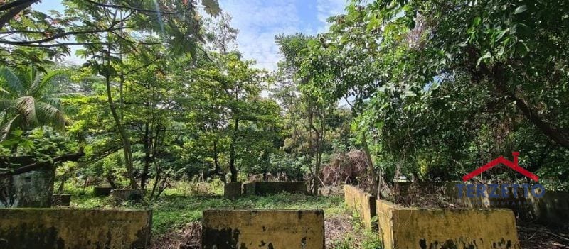 Km 64.5 Carretera Siquinala Escuintla — Terreno en Venta en Siquinalá, Escuintla — foto 6 de 8