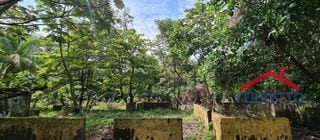 Km 64.5 Carretera Siquinala Escuintla — Terreno en Venta en Siquinalá, Escuintla — miniatura 6 de 8