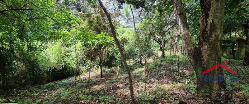 Km 64.5 Carretera Siquinala Escuintla — Terreno en Venta en Siquinalá, Escuintla — foto 3 de 8