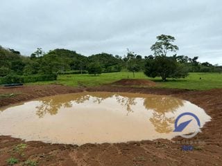 Se vende Finca en La Libertad -  Petén - Guatemala — Finca en Venta en La Libertad, Petén — miniatura 5 de 11