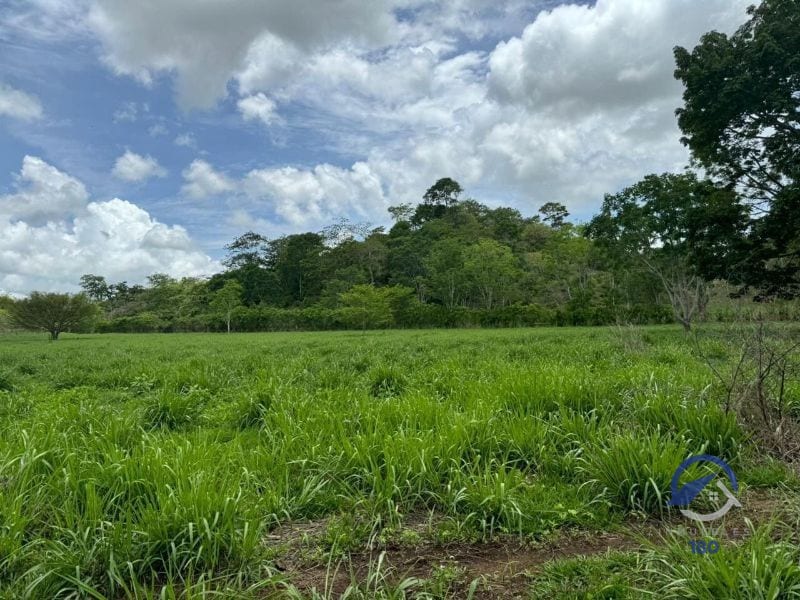 Se vende Finca en La Libertad -  Petén - Guatemala — Finca en Venta en La Libertad, Petén — foto 3 de 11