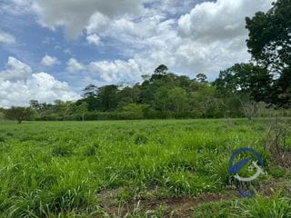 Se vende Finca en La Libertad -  Petén - Guatemala — Finca en Venta en La Libertad, Petén — miniatura 3 de 11