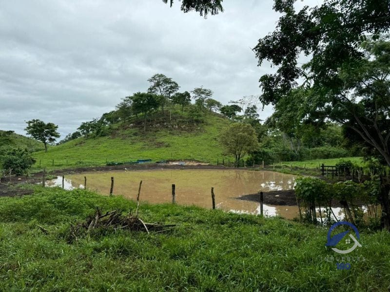 Se vende Finca en La Libertad -  Petén - Guatemala — Finca en Venta en La Libertad, Petén — foto 11 de 11