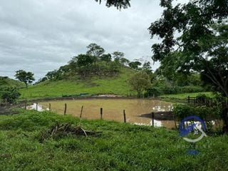 Se vende Finca en La Libertad -  Petén - Guatemala — Finca en Venta en La Libertad, Petén — miniatura 11 de 11