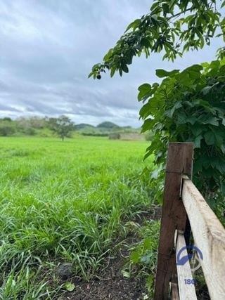 Se vende Finca en La Libertad -  Petén - Guatemala — Finca en Venta en La Libertad, Petén — miniatura 10 de 11