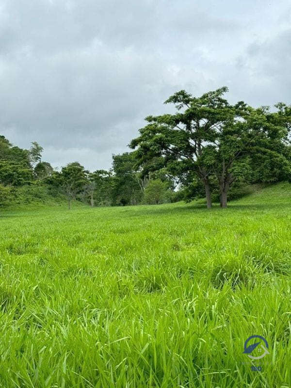 Se vende Finca en La Libertad -  Petén - Guatemala — Finca en Venta en La Libertad, Petén — foto 8 de 11