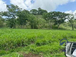 Se vende Finca en La Libertad -  Petén - Guatemala — Finca en Venta en La Libertad, Petén — miniatura 2 de 11