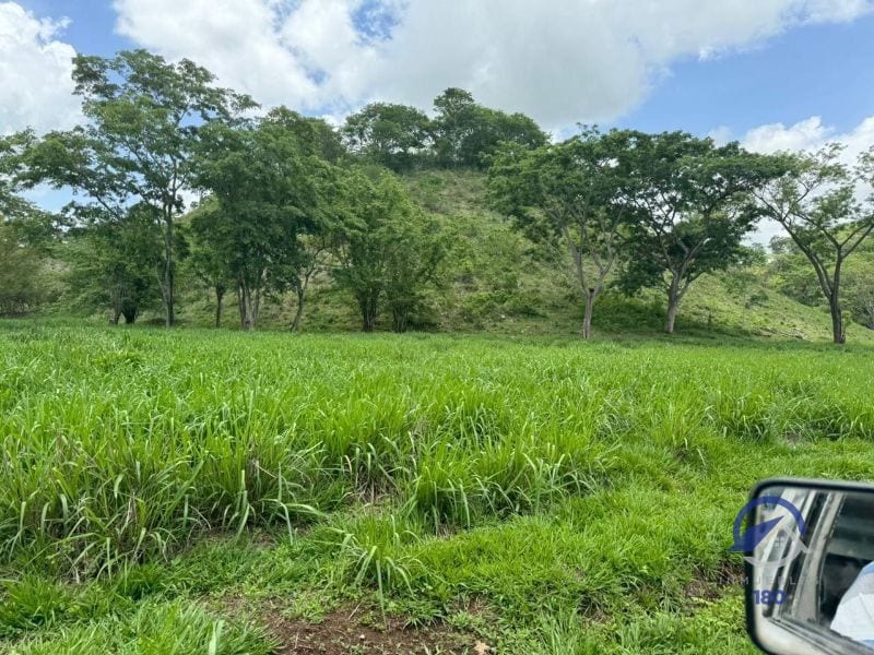 Se vende Finca en La Libertad - Petén - Guatemala — Finca en Venta en La Libertad, Petén — foto 2 de 11