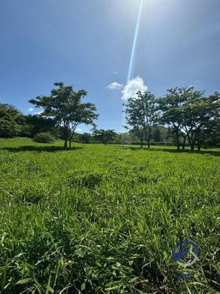 Se vende Finca en La Libertad -  Petén - Guatemala — Finca en Venta en La Libertad, Petén — miniatura 1 de 11