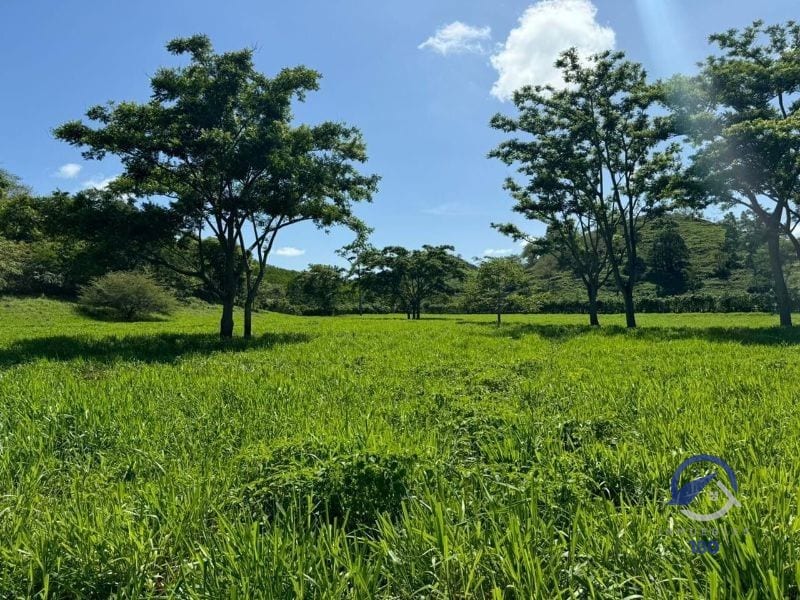 Se vende Finca en La Libertad -  Petén - Guatemala — Finca en Venta en La Libertad, Petén — foto 6 de 11