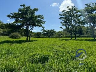 Se vende Finca en La Libertad -  Petén - Guatemala — Finca en Venta en La Libertad, Petén — miniatura 6 de 11