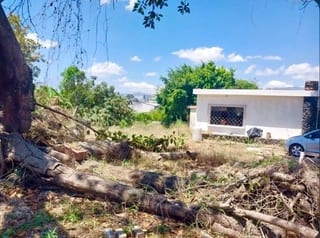 VENTA TERRENO, COLONIA EL CARMEN, ZONA 12 — Terreno en Venta en El Carmen, Zona 12, Guatemala, Ciudad — miniatura 1 de 4