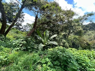Terreno en Venta Vistalvalle km 9 CES — Terreno en Venta en Carretera a El Salvador, Guatemala, Ciudad — miniatura 1 de 4