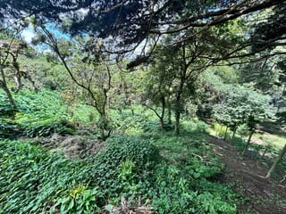 Terreno en venta Vistalvalle km 9 CAES — Terreno en Venta en Carretera a El Salvador, Guatemala, Ciudad — miniatura 1 de 4