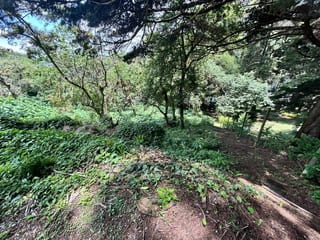 Terreno en venta Vistalvalle km 9 CAES — Terreno en Venta en Carretera a El Salvador, Guatemala, Ciudad — miniatura 2 de 4