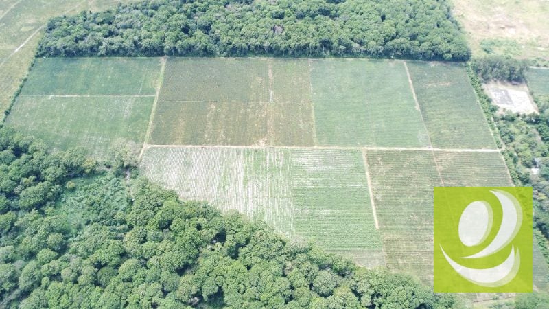Citymax-Advance Vende Terreno/Finca de 170,000v² Plano a dos minutos de Carretera a El Salvador** — Terreno en Venta en Villa Canales, Guatemala, Ciudad — foto 1 de 4