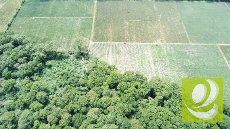 Citymax-Advance Vende Terreno/Finca de 170,000v² Plano a dos minutos de Carretera a El Salvador** — Terreno en Venta en Villa Canales, Guatemala, Ciudad — foto 2 de 4