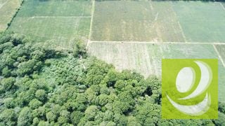 Citymax-Advance Vende Terreno/Finca de 170,000v² Plano a dos minutos de Carretera a El Salvador** — Terreno en Venta en Villa Canales, Guatemala, Ciudad — miniatura 2 de 4