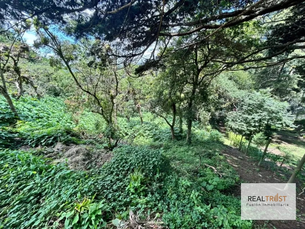 Terreno en Venta Vistalvalle Km.9 — Terreno en Venta en Carretera a El Salvador, Guatemala, Ciudad — foto 3 de 4