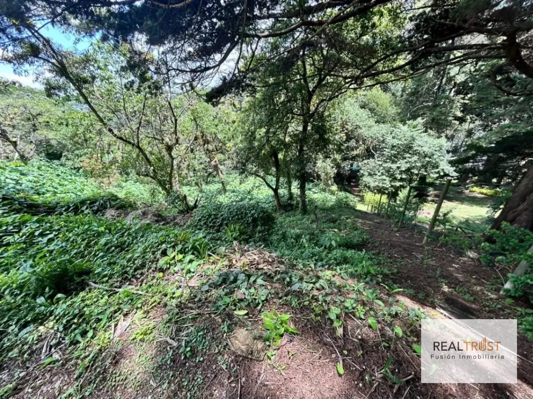 Terreno en Venta Vistalvalle Km.9 — Terreno en Venta en Carretera a El Salvador, Guatemala, Ciudad — foto 2 de 4