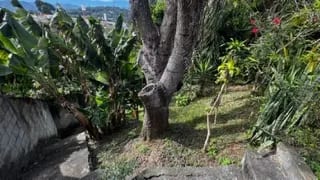 Venta de Casa con Extenso Terreno en San Cristobal Sector A10 — Casa en Venta en Zona 8 Mixco, Guatemala, Ciudad — miniatura 11 de 17