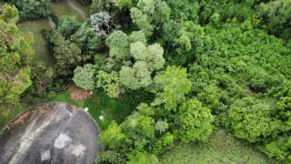 VENDO PRECIOSO TERRENO EN CONDOMINIO FRANCISCO JAVIER Km. 16.5 CAES — Terreno en Venta en Carretera a El Salvador, Guatemala, Ciudad — miniatura 1 de 6
