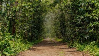 Antigua Guatemala. "exclusivo Terreno en Venta en Condominio" — Terreno en Venta en Antigua, Sacatepéquez — miniatura 12 de 16