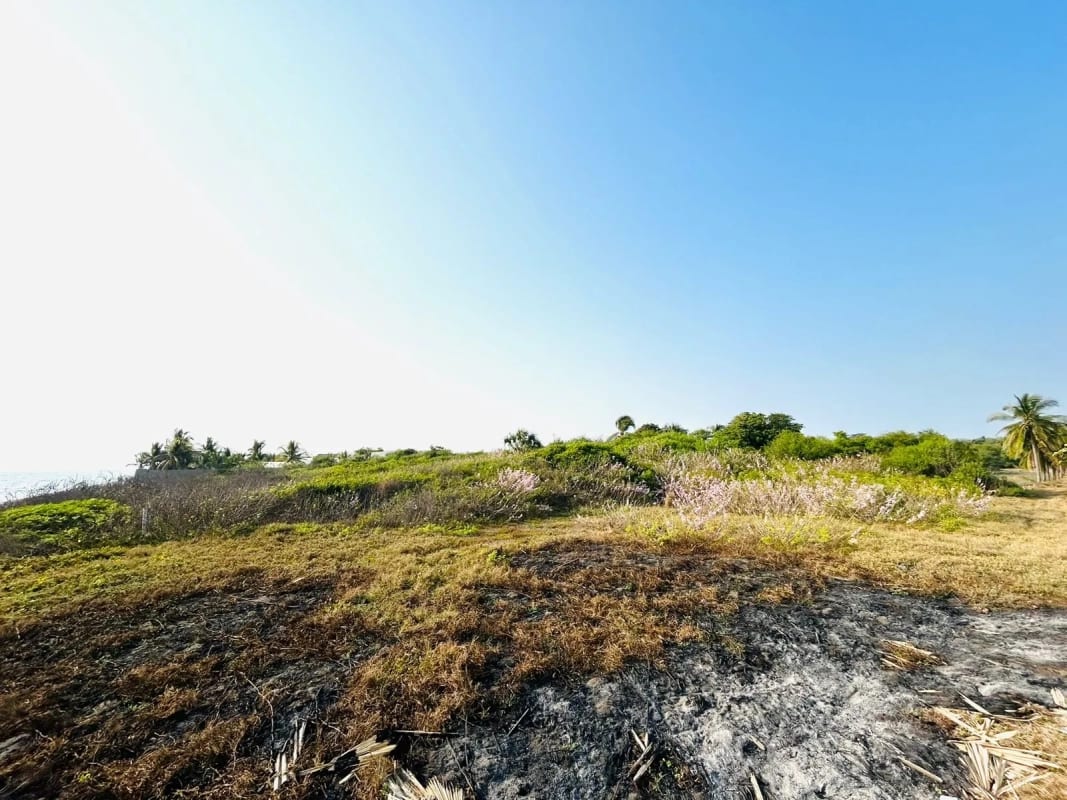 Terreno en venta para desarrollo en Iztapa a orilla del mar — Terreno en Venta en Iztapa, Escuintla — foto 16 de 17