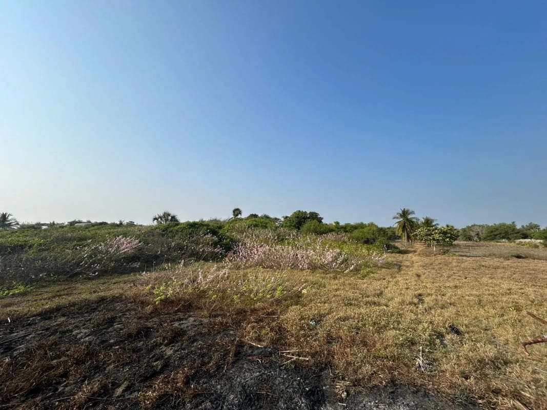 Terreno en venta para desarrollo en Iztapa a orilla del mar — Terreno en Venta en Iztapa, Escuintla — foto 11 de 17