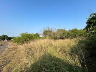 Terreno en venta para desarrollo en Iztapa a orilla del mar — Terreno en Venta en Iztapa, Escuintla — miniatura 6 de 17
