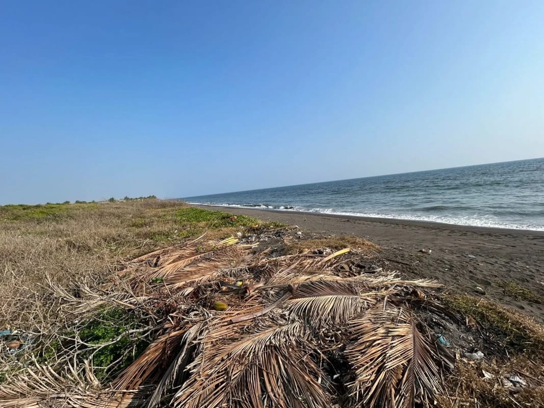 Terreno en venta para desarrollo en Iztapa a orilla del mar — Terreno en Venta en Iztapa, Escuintla — foto 5 de 17