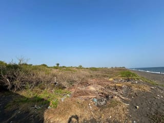 Terreno en venta para desarrollo en Iztapa a orilla del mar — Terreno en Venta en Iztapa, Escuintla — miniatura 4 de 17