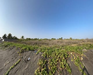 Terreno en venta para desarrollo en Iztapa a orilla del mar — Terreno en Venta en Iztapa, Escuintla — miniatura 2 de 17
