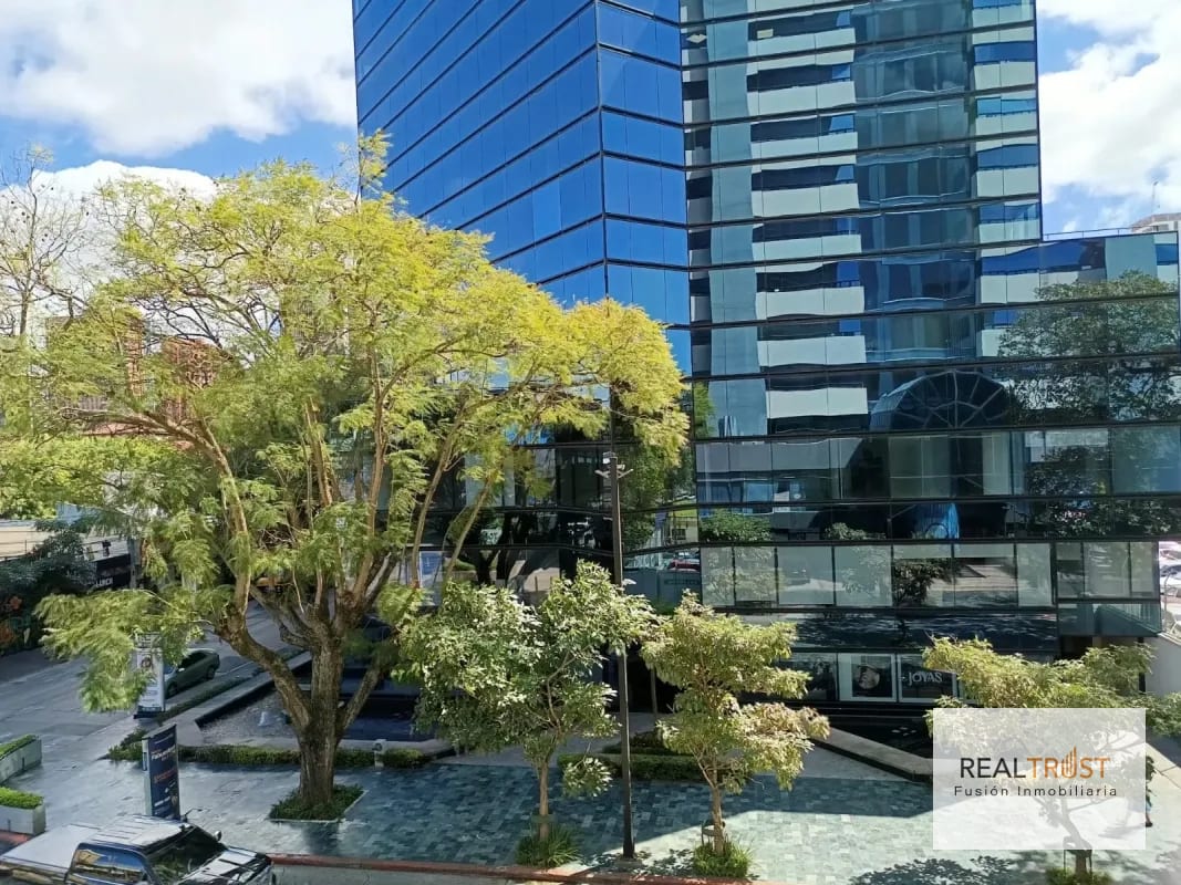 OFICINAS EN ALQUILER EN EL CORAZÓN DE ZONA 10 — Oficina en Alquiler en Zona 10, Guatemala, Ciudad — foto 4 de 8