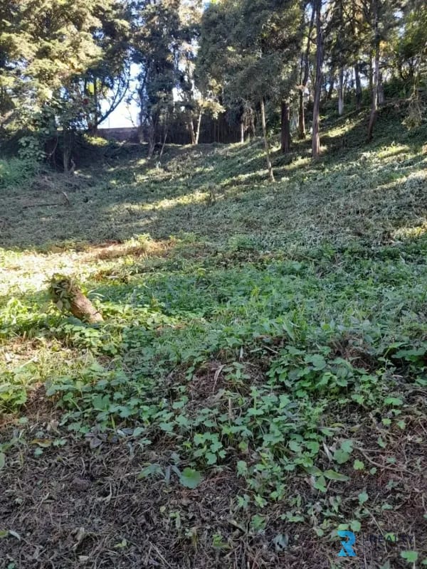 Vendo Terreno Sta Catarina Pinula, La Hondonada (Fca Sn Vicente) — Terreno en Venta en Heroes de Arrazola, Carretera a El Salvador, Guatemala, Ciudad — foto 1 de 3