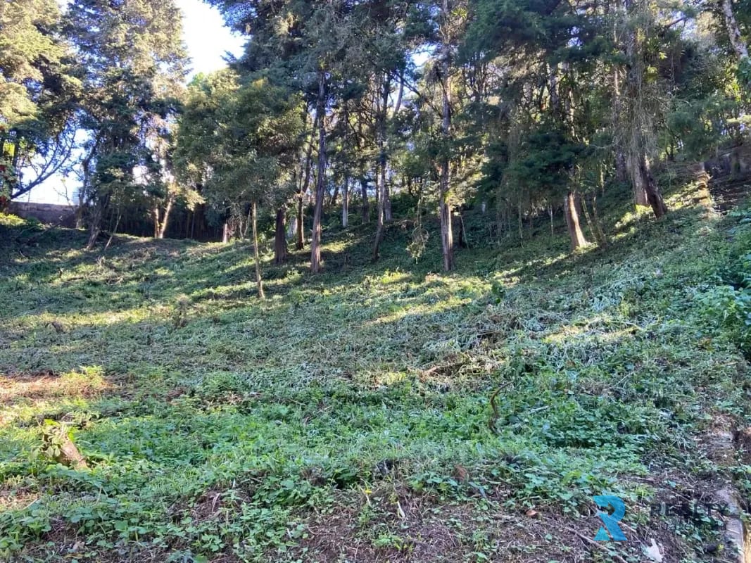 Vendo Terreno Sta Catarina Pinula, La Hondonada (Fca Sn Vicente) — Terreno en Venta en Heroes de Arrazola, Carretera a El Salvador, Guatemala, Ciudad — foto 2 de 3