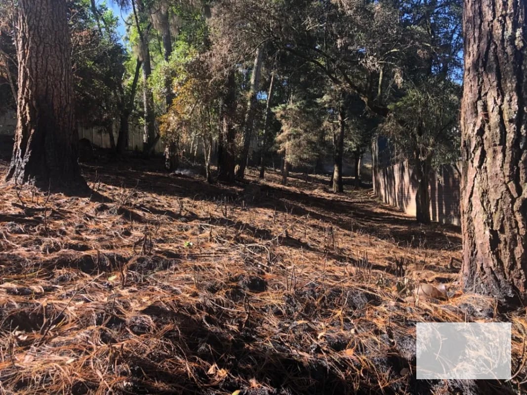 Terreno 3,700 v2 en venta zona 16 sector Kanajuyú — Terreno en Venta en Zona 16, Guatemala, Ciudad — foto 7 de 9