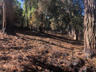 Terreno 3,700 v2 en venta zona 16 sector Kanajuyú — Terreno en Venta en Zona 16, Guatemala, Ciudad — miniatura 7 de 9