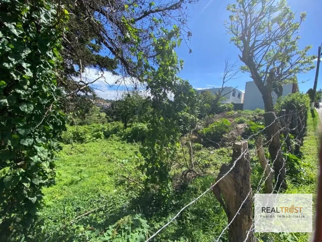 TERRENO EN VENTA ENTRADA A FRAIJANES — Terreno en Venta en Fraijanes, Carretera a El Salvador, Guatemala, Ciudad — foto 9 de 9