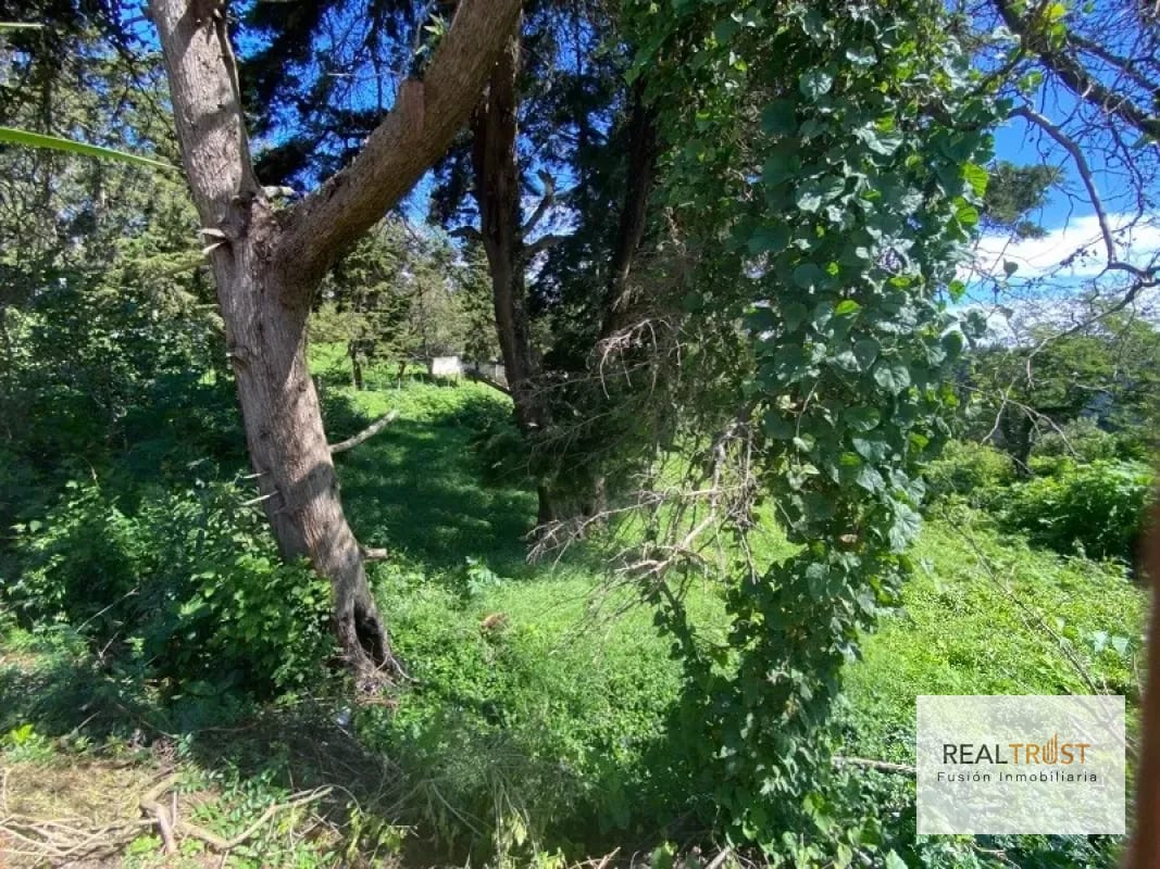 TERRENO EN VENTA ENTRADA A FRAIJANES — Terreno en Venta en Fraijanes, Carretera a El Salvador, Guatemala, Ciudad — foto 5 de 9