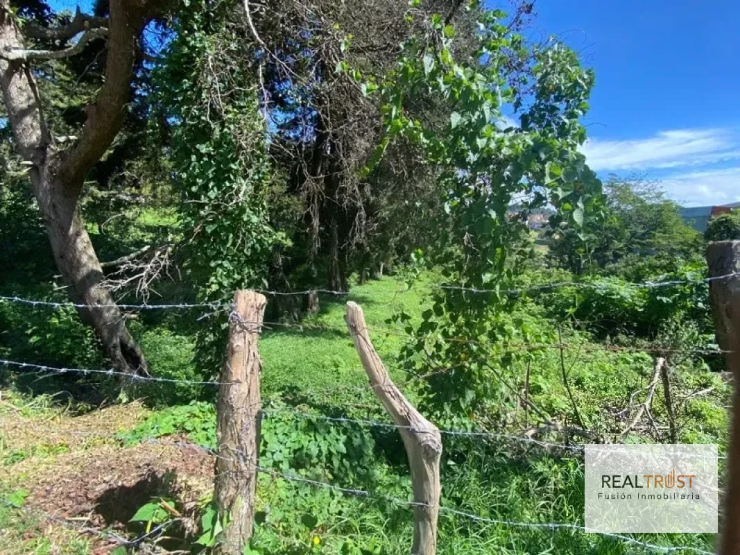 TERRENO EN VENTA ENTRADA A FRAIJANES — Terreno en Venta en Fraijanes, Carretera a El Salvador, Guatemala, Ciudad — foto 4 de 9
