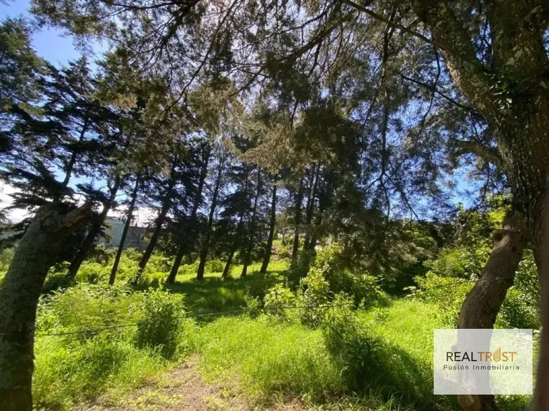 TERRENO EN VENTA ENTRADA A FRAIJANES — Terreno en Venta en Fraijanes, Carretera a El Salvador, Guatemala, Ciudad — foto 3 de 9
