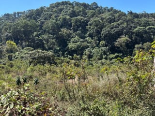 Terreno 9,041.50 v2 en venta Vista Hermosa IV zona 16 sector El Pulté — Terreno en Venta en Zona 16, Guatemala, Ciudad — miniatura 3 de 4