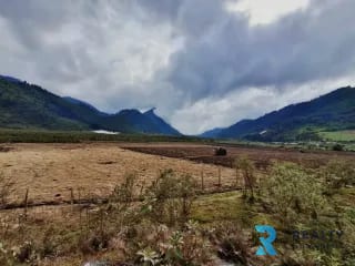 Vendo Finca Purulha, BVP  Carretera hacia Cobán  Sobre Carretera Principal — Finca en Venta en Purulhá, Baja Verapaz — miniatura 4 de 4